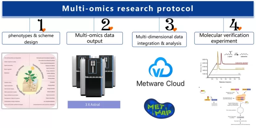 study design → sampling and QC → proteomics and metabolomics acquisition → data integration → validation
